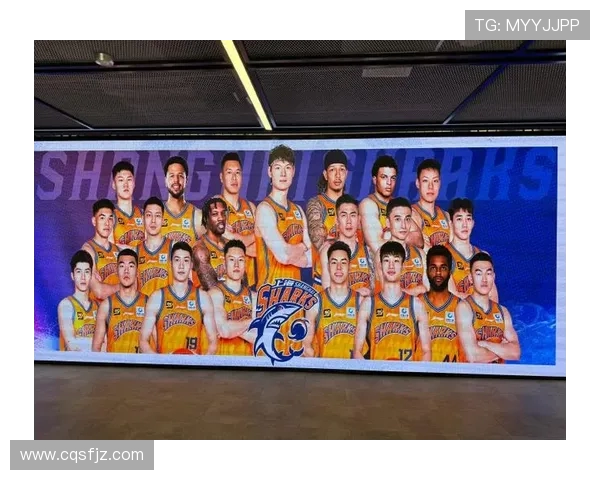 上海是否拥有多支CBA球队？城市篮球资源调查